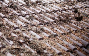 Vauld roof cleaning companies
