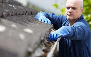cleaning and inspecting Vauld roofs